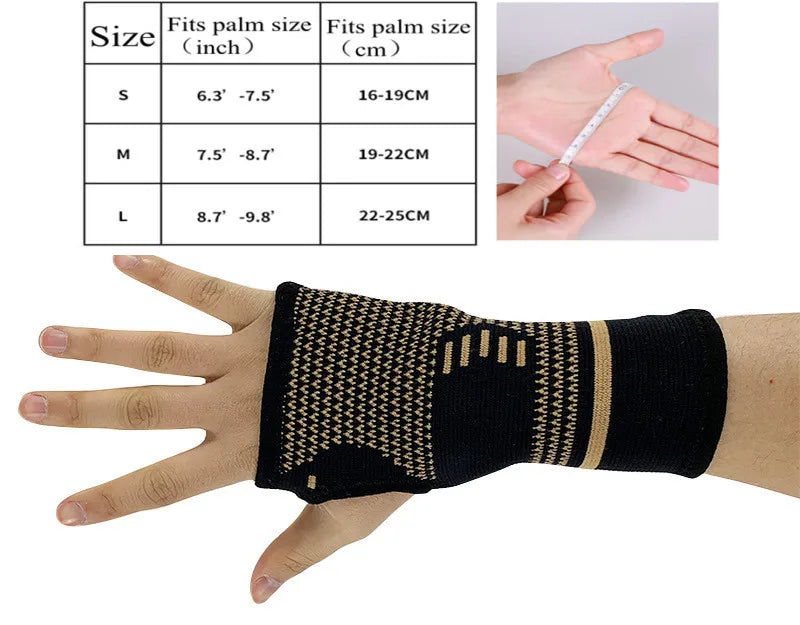 49509813715231|49509813911839|49509814010143