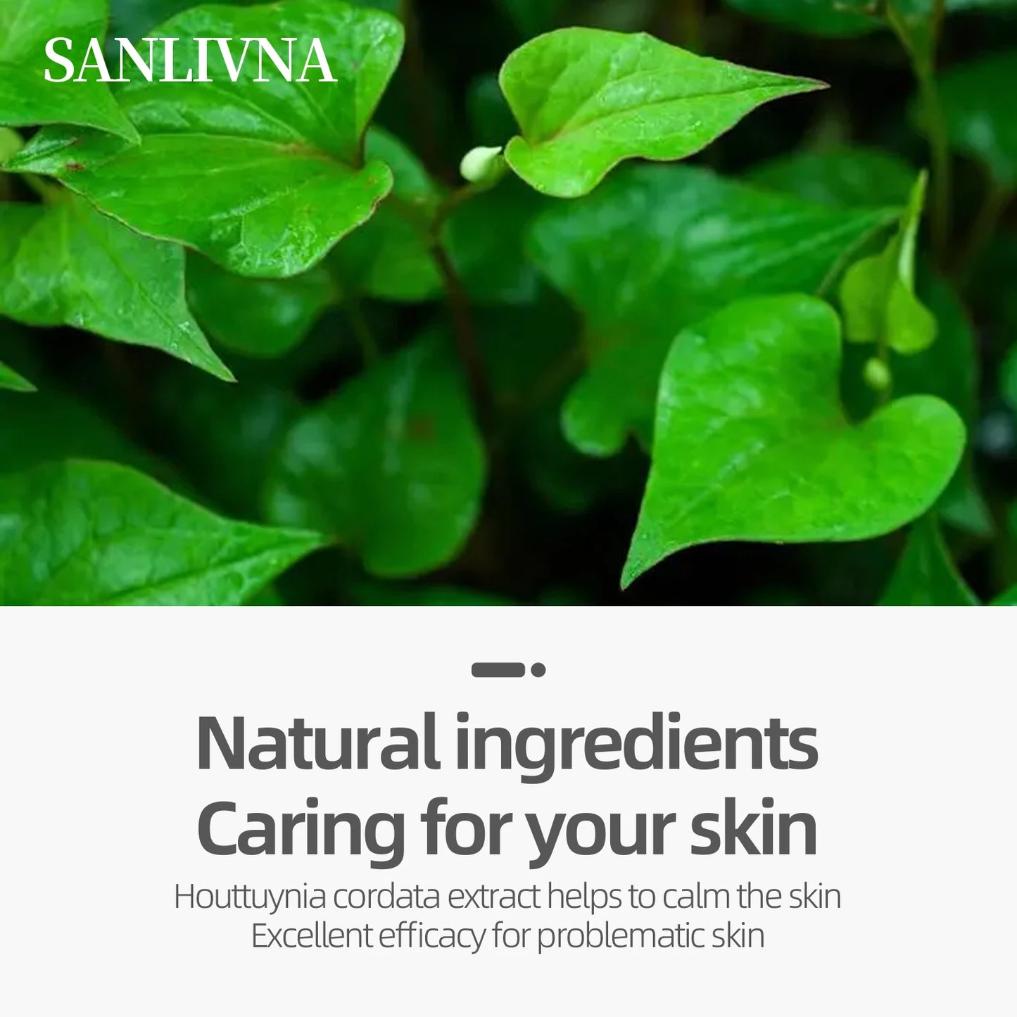 Heartleaf 77 Toner CLEAR Pad , Bha Dead Skin Care Low Ph Daily Toner Pad Exfoliating Moisturizing Smooth Skin Korean Skin Care